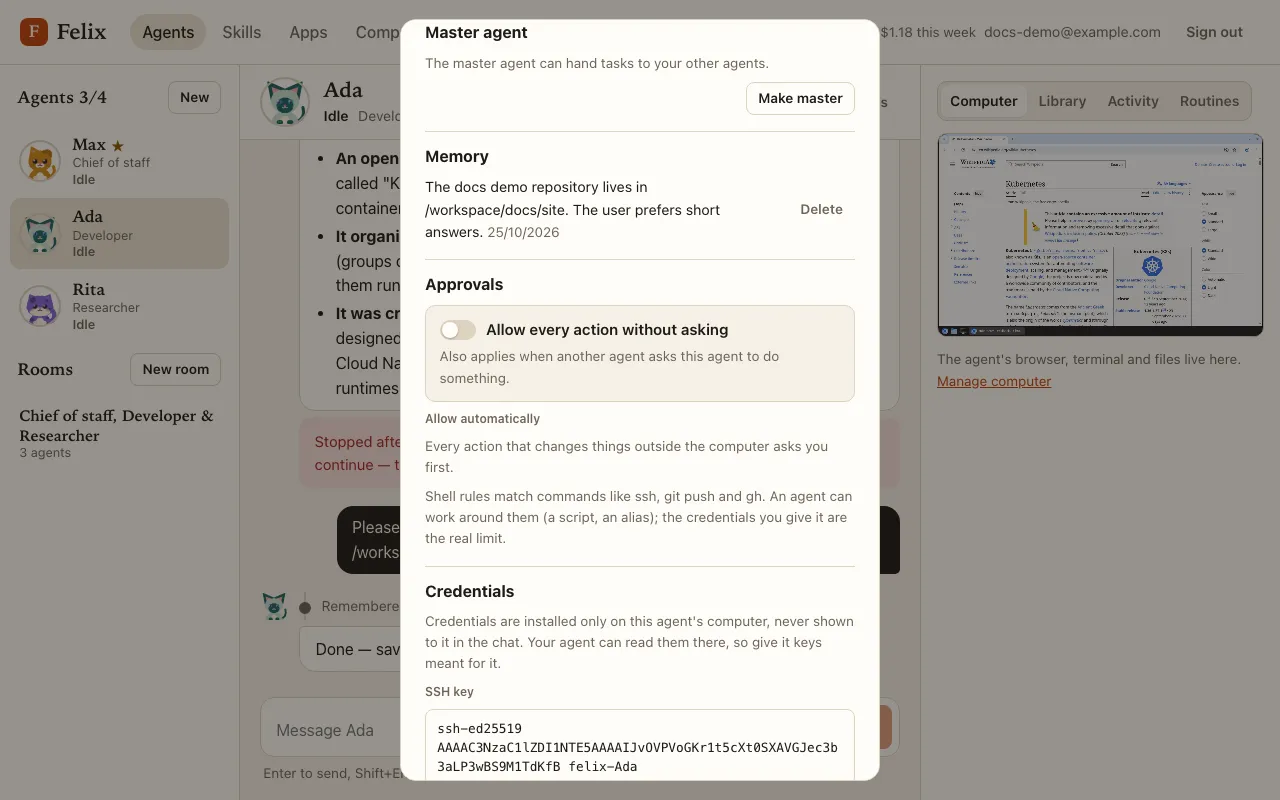 Details: the Approvals section with the switch and the Allow automatically list, above Credentials.